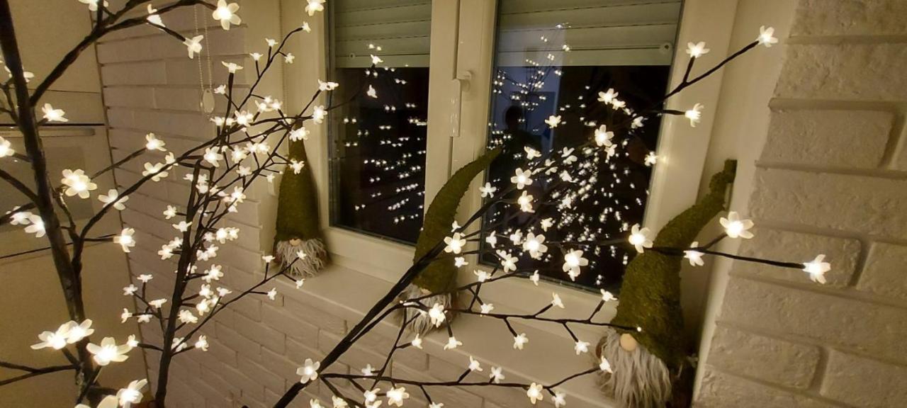 Apartment Ana, Vracar, Belgrad Exterior foto